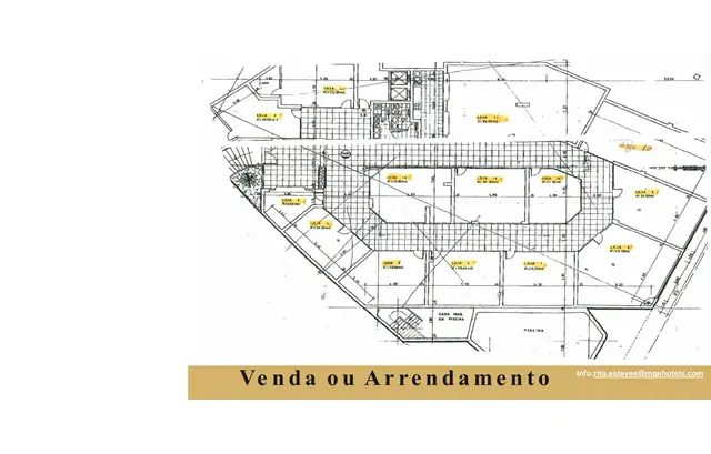 Planta